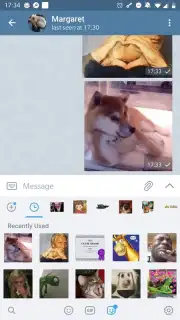 ForkGram скриншот 8