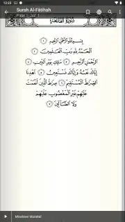 Quran Android скриншот 2