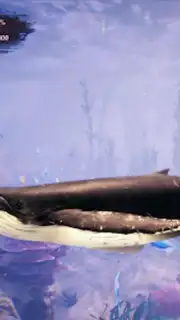 The Humpback Whales скриншот 7
