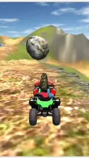 Offroad Quad Bike скриншот 8