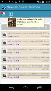 AVD Android Video Downloader скриншот 1