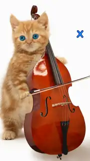 Talking, Dancing Cat. скриншот 5